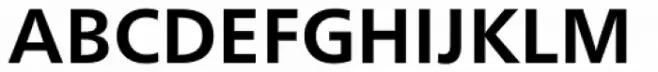 Neue Frutiger Hebrew Bold