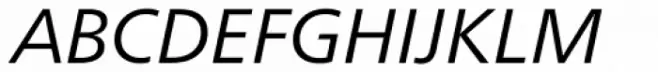 Neue Frutiger Hebrew Book Italic