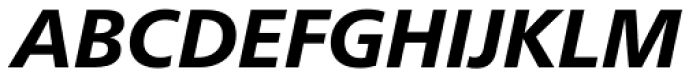 Neue Frutiger Hebrew Heavy Italic