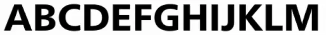 Neue Frutiger Hebrew Heavy