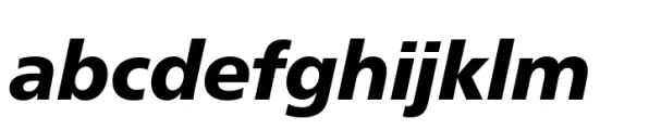 Neue Frutiger Paneuropean Black Italic