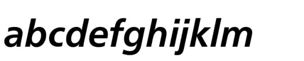 Neue Frutiger Paneuropean Bold Italic