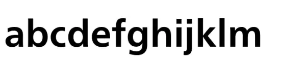 Neue Frutiger Paneuropean Bold