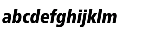 Neue Frutiger Paneuropean Condensed Black Italic