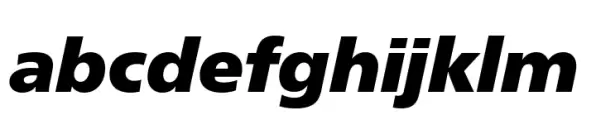 Neue Frutiger Paneuropean Extra Black Italic