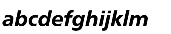 Neue Frutiger Paneuropean Heavy Italic