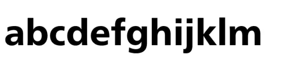 Neue Frutiger Paneuropean Heavy