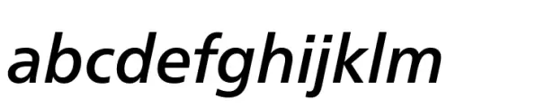 Neue Frutiger Paneuropean Medium Italic