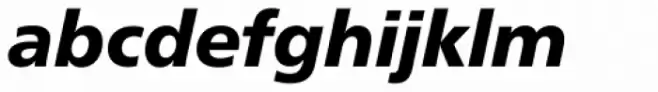 Neue Frutiger Pro Black Italic