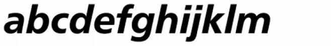 Neue Frutiger Pro Heavy Italic