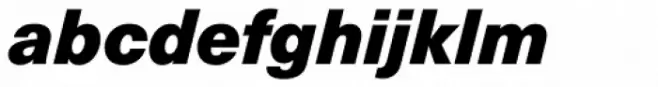 Neue Haas Unica Pro Black Italic