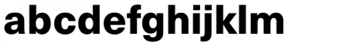 Neue Haas Unica Pro Heavy