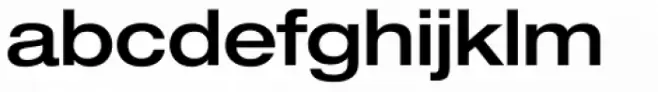 Neue Helvetica Paneuropean 63 Medium Extended