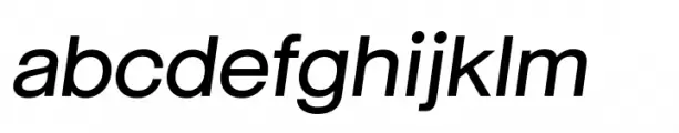 Neue June Medium Italic