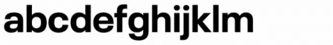 Neue Plak Bold