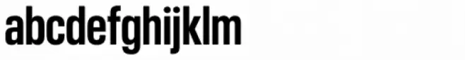 Neue Plak Condensed Bold