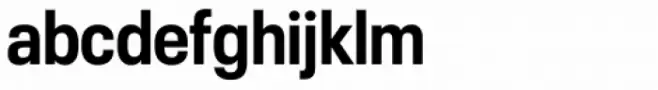 Neue Plak Narrow Bold