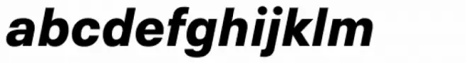 Neue Plak Text Black Italic