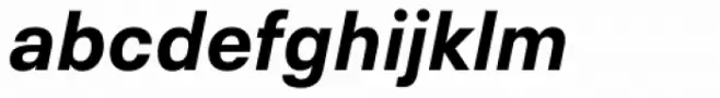 Neue Plak Text Bold Italic