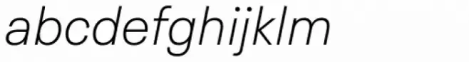 Neue Plak Text Thin Italic