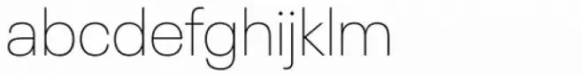Neue Plak Thin