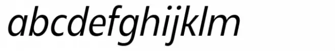 Neue Reman Gt Condensed Italic