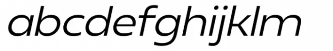 Neue Reman Gt Semi Expanded Italic