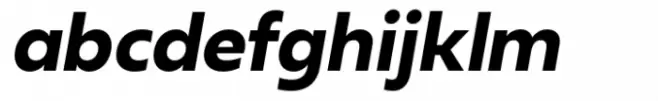 Neue Reman Sans Bold Italic
