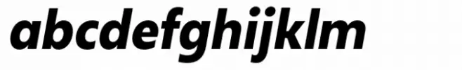 Neue Reman Sans Bold Semi Condensed Italic