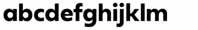 Neue Reman Sans Bold