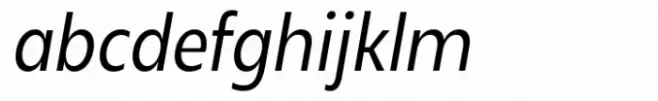 Neue Reman Sans Condensed Italic