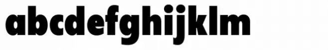 Neue Reman Sans Heavy Condensed