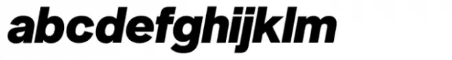 Neue Singular D Black Italic