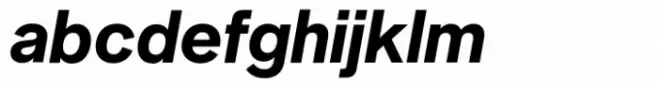Neue Singular D Bold Italic