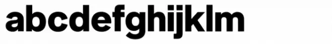 Neue Singular D Extra Bold