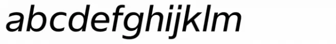 Neue Singular V Regular Italic