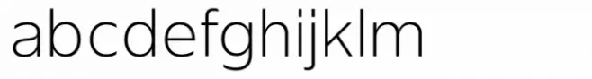 Neue Singular V Thin