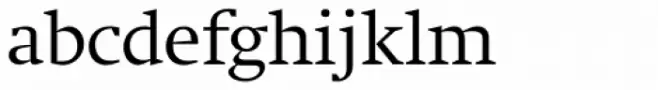 Neue Swift Pro Light