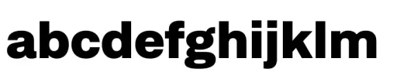 Neufile Grotesk Black