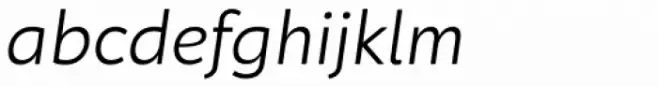 Neufreit Light Italic