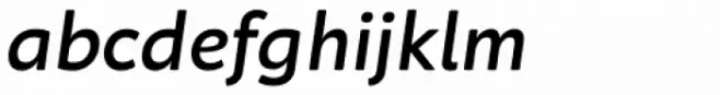 Neufreit Medium Italic