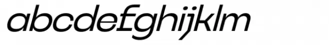 Neugro Typeface Italic