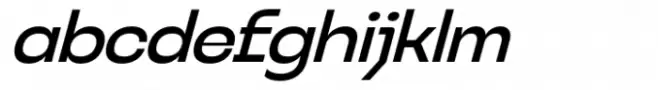 Neugro Typeface Medium Italic