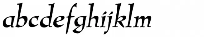 New Amigo LXSN Italic