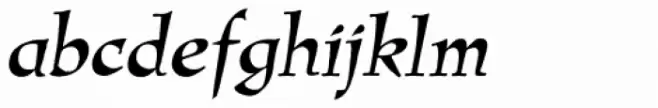 New Amigo RXSN Italic