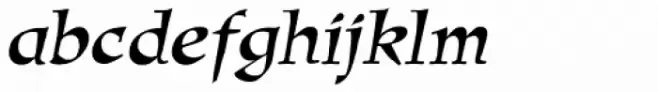 New Amigo SXSN Italic