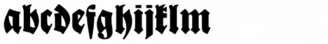 New Bayreuth D
