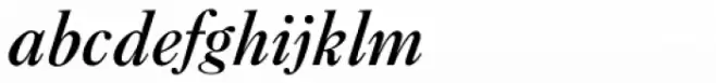 New Caslon SB Medium Italic