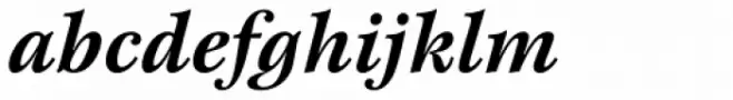 New Esprit Pro Bold Italic