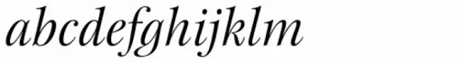 New Esprit Pro Display Italic
